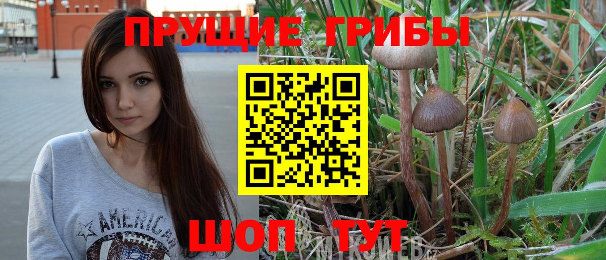 Железноводск  Галлюциногенные грибы Magic Shrooms  Вход с VPN 